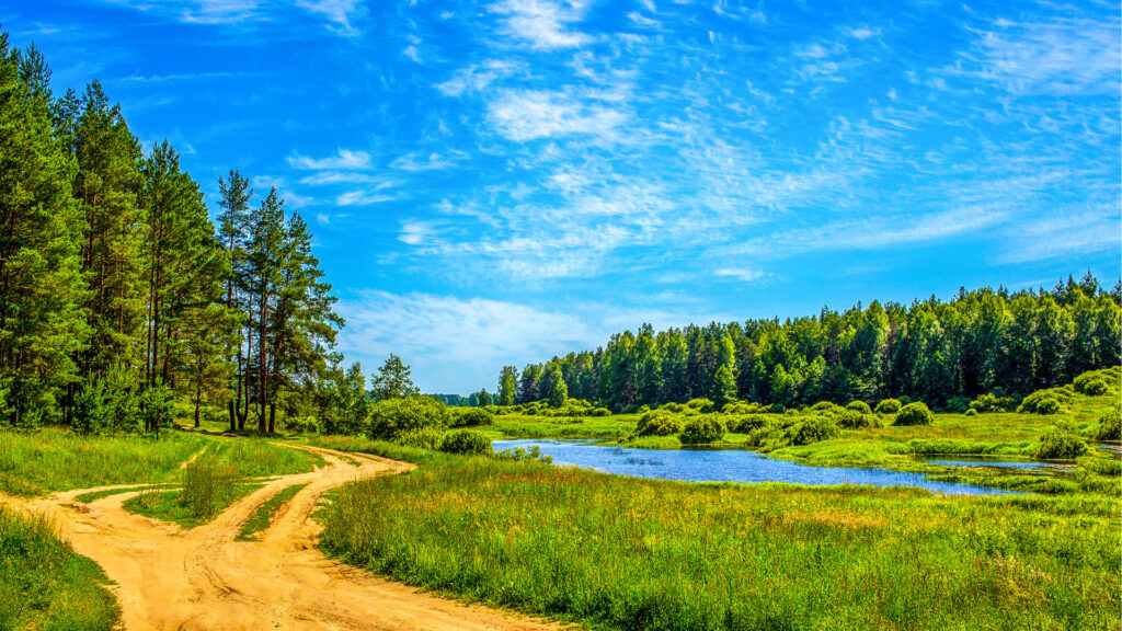 JAK DZIAŁA NATURALNY CZYNNIK CHŁODNICZY GAZUNO